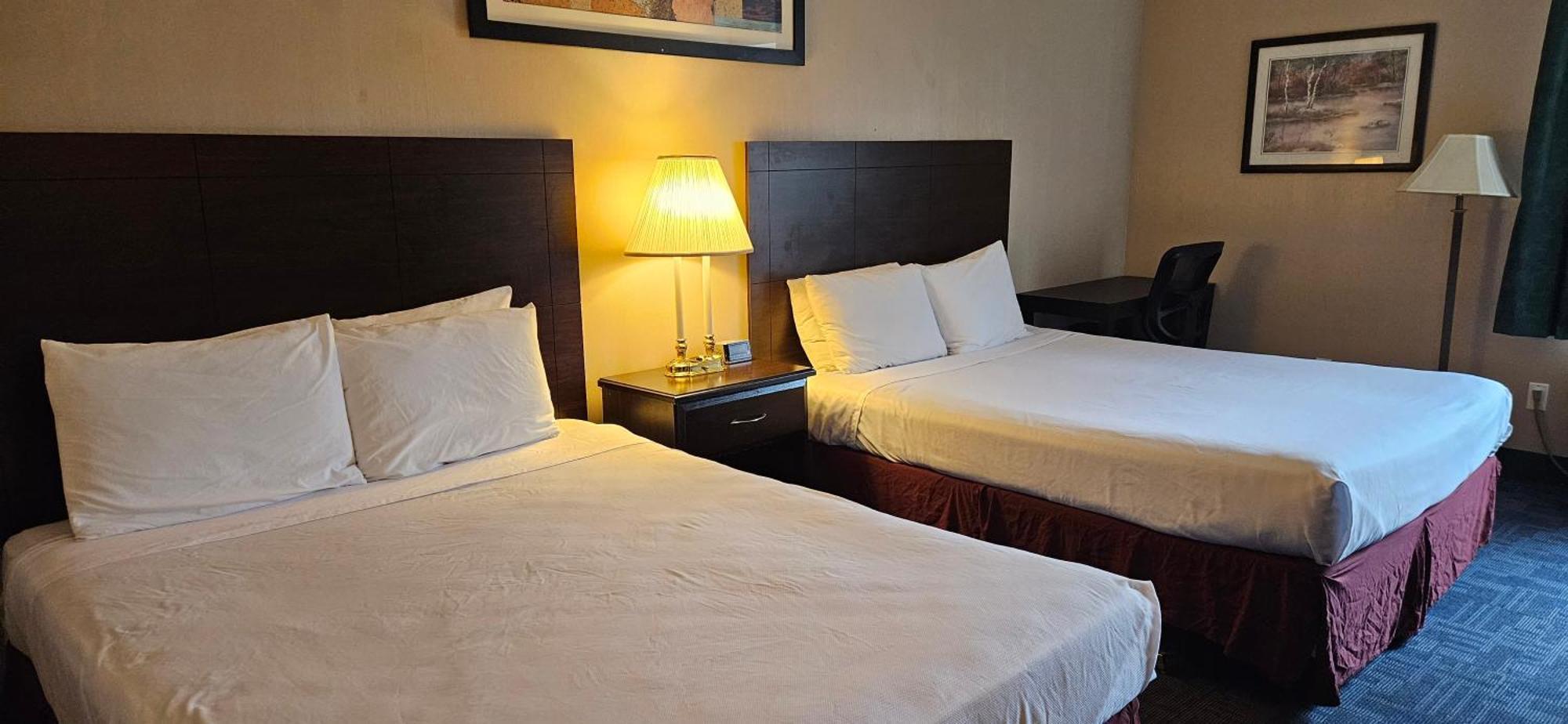 Bellis Inn Bellingham Dış mekan fotoğraf