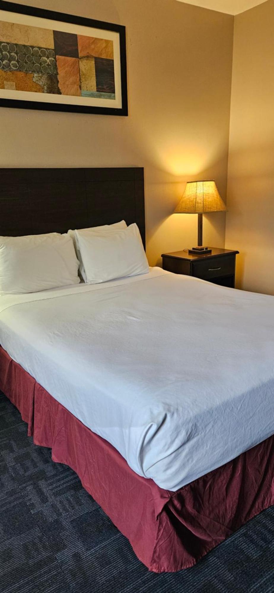 Bellis Inn Bellingham Dış mekan fotoğraf